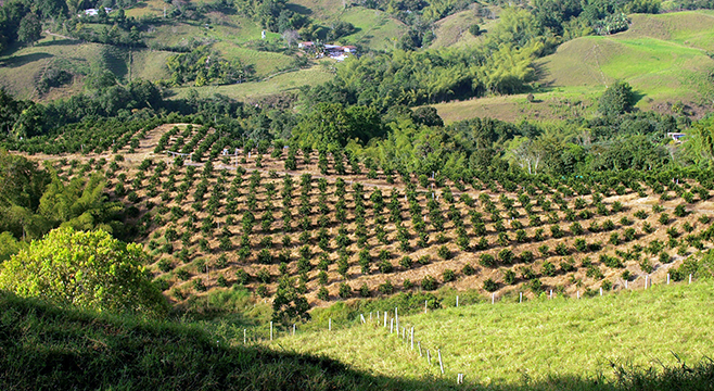 Pueblos cafeteros de Antioquia